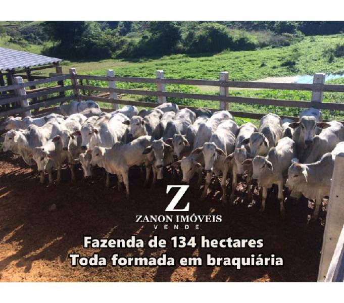 FAZENDA 134 hectares ou 27.7 ALQUEIRES na Divisa RioES