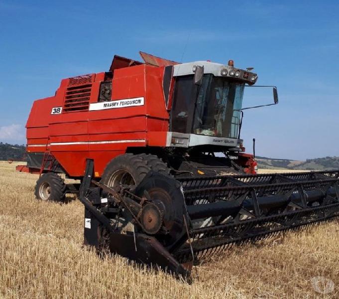 Mf38 2004