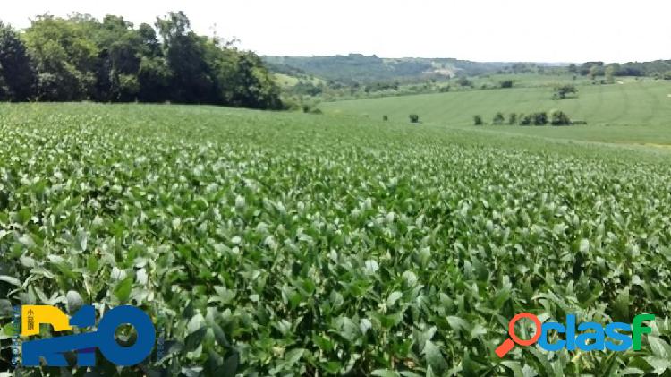 Sitio a Venda área de 10 Alqueires com benfeitorias