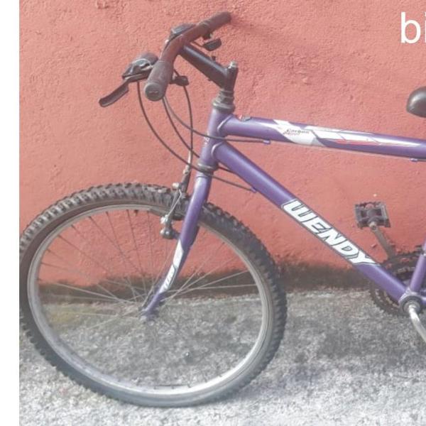 bicicleta aro 24