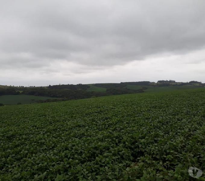 31 Alqueires para soja em São Miguel Atcanjo5