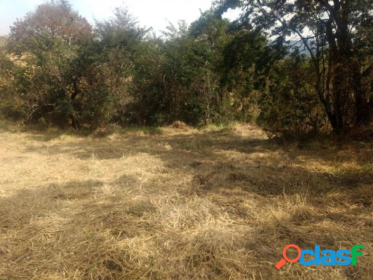 OPORTUNIDADE: 38.385M² - APENAS R$ 600.000,00