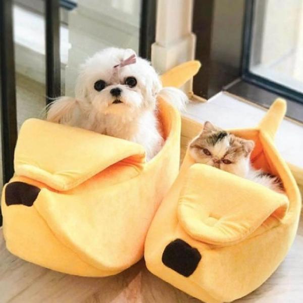 cama gato cachorro banana