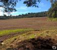 Fazenda Primavera - Nova Aurora-PR