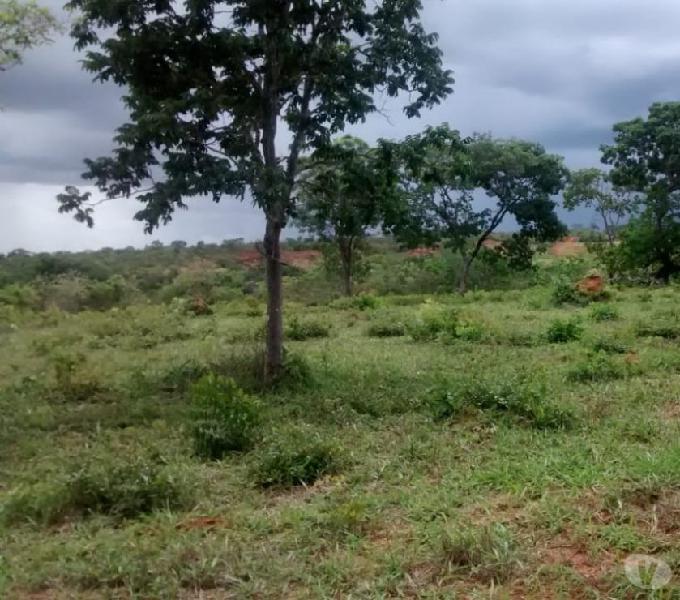 Fazendinha 47 hectares formada - rio margeando