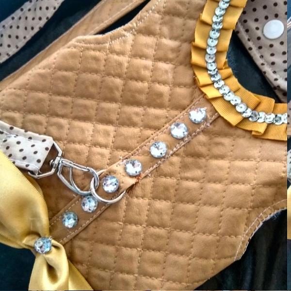 Roupas para Pet