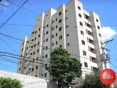 Apartamento para alugar com 3 dormitórios em Tatuapé, São
