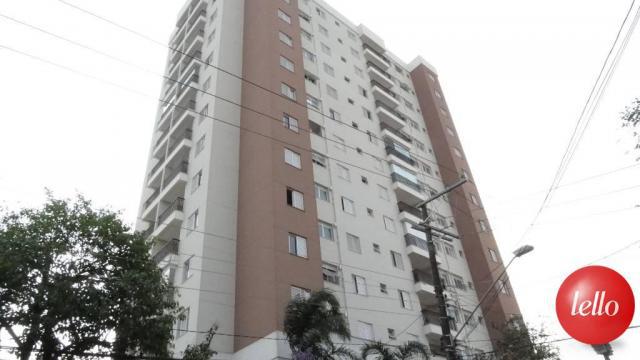Apartamento à venda com 2 dormitórios em Mandaqui, São