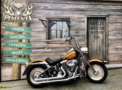 Harley Davidson Heritage Softail Carburada