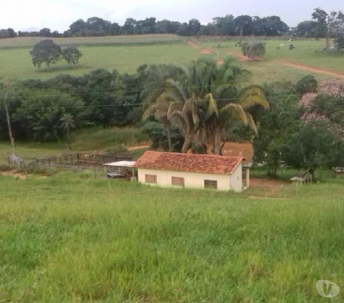 Sitio de 18 alqueires terra de Cultura e gsdo