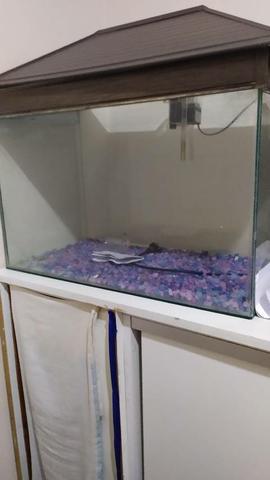 Aquário de 60cm de comprimento por 30cm de largura