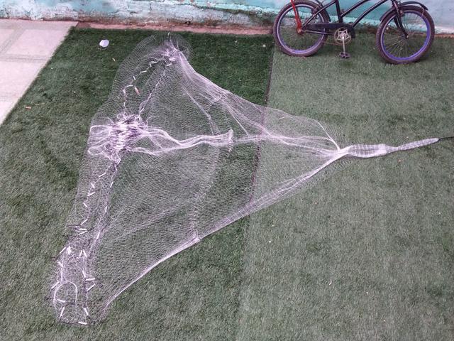 Tarrafa