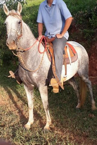 Vende-se