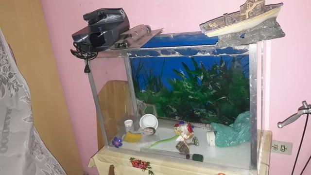 Vendo aquário para peixe