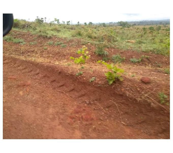 80 Alq. Planta 50 Boa De Água Formada Montada Oportunidade