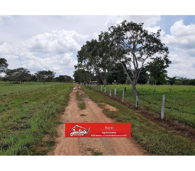Fazenda em Tocantins Dueré área 1300 hectares para