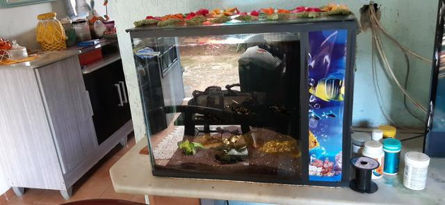 Vendo aquario