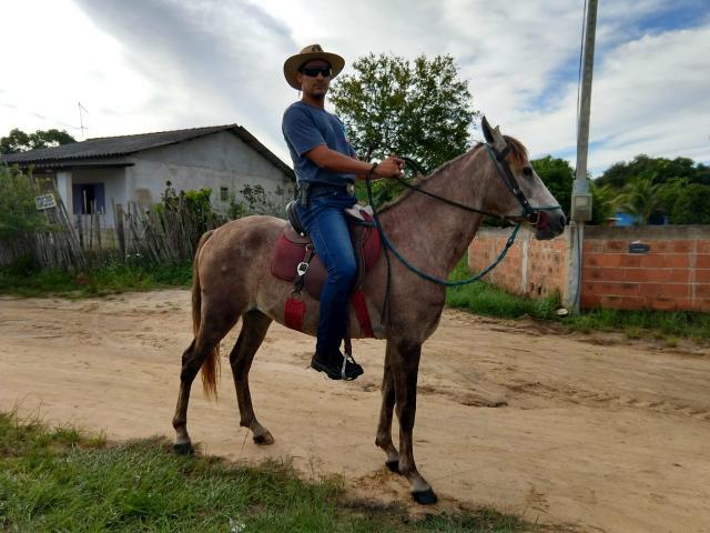 Vendo marcha batida sem defeito