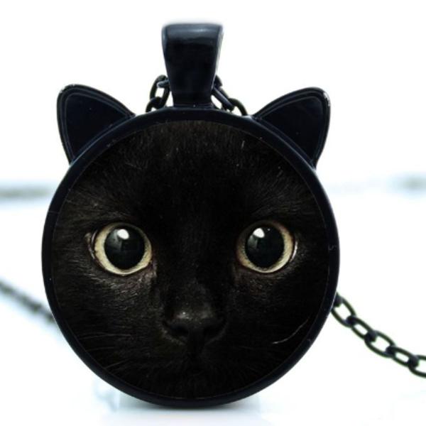 colar gatinho preto proteção vidro