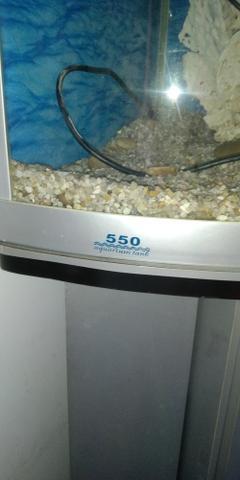 Aquario 500 litros