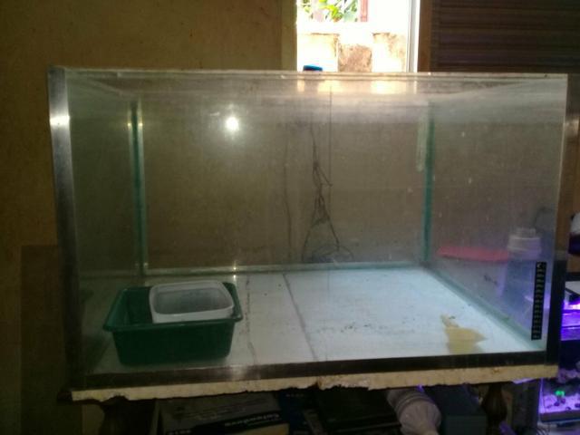 Aquário 200lts