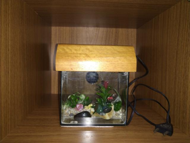 Aquário para peixe beta com iluminação e decoração /