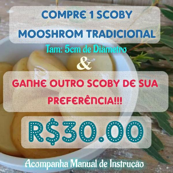 Compre 1 scoby Mooshrom Tradicional e ganhe 1 scoby (Brinde)