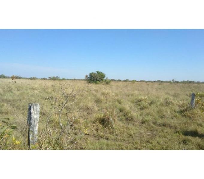 FAZENDA COM 2.860 HECTARES NA REGIÃO DE RONDONÓPOLIS-MT