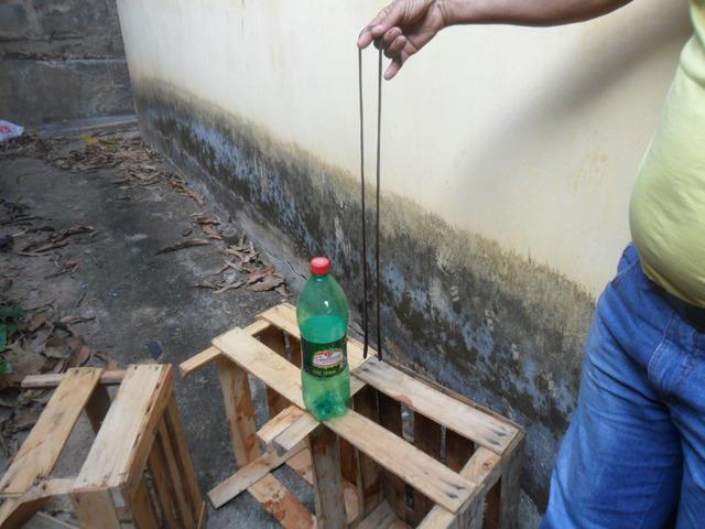 Isca Viva Para Pescaria Em Salinas
