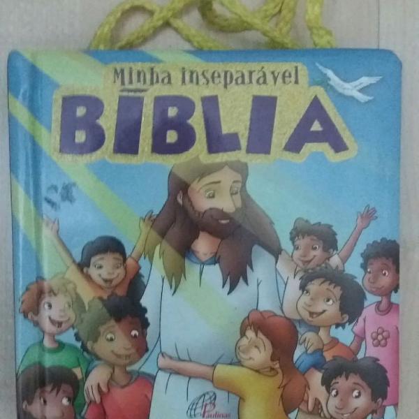 Livro Minha inseparável Bíblia