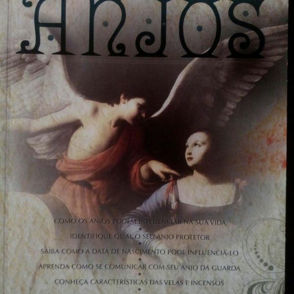 Livro Tudo o que Você Precisa Saber sobre Anjos