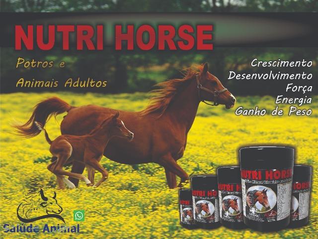 Nutri Horse (Suplement Equino)