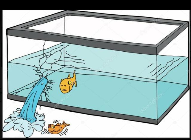 Reforma de aquários em geral