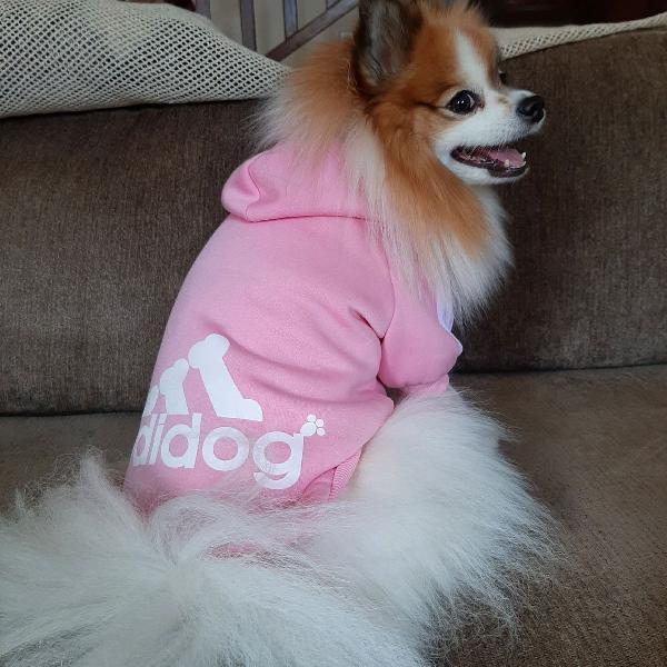 moletom rosa Adidas - Adidog para cães pequenos