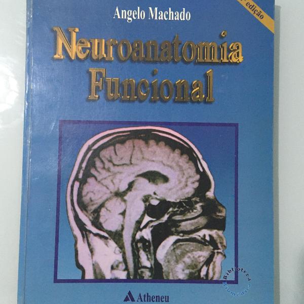 neuroanatomia