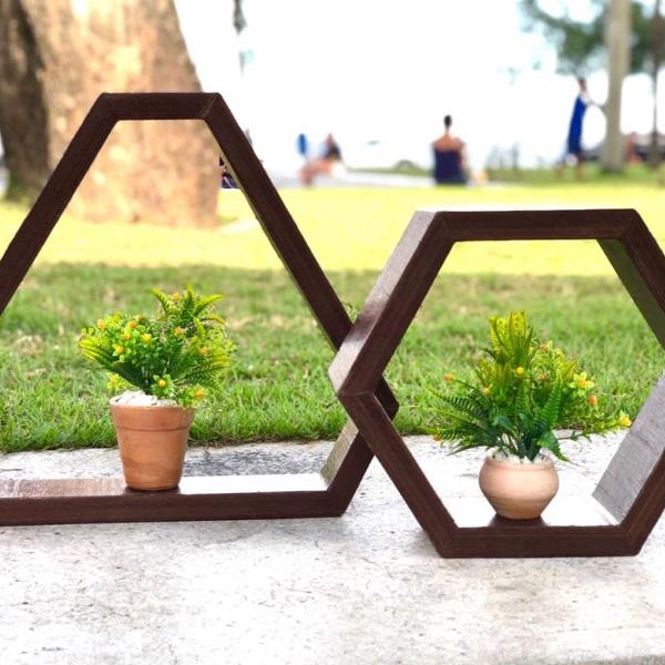 ninchos com plantas