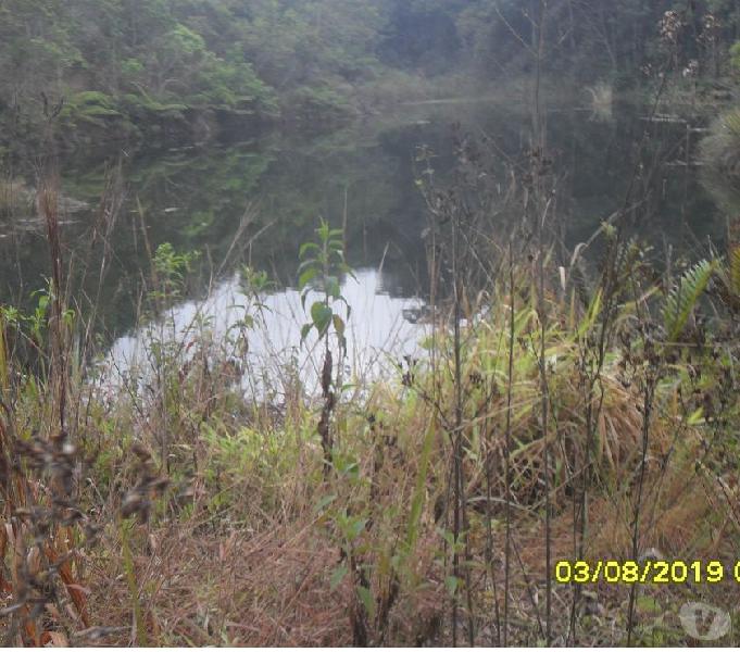 sitio em rosário de com 40 hectares