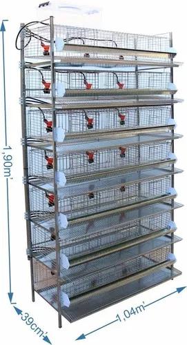 Bateria De 7 Gaiolas Para Codorna - Copinho