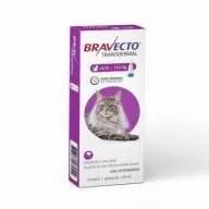 Bravecto Transdermal Gatos G 6.25 - 12.5 Kg - 500 Mg