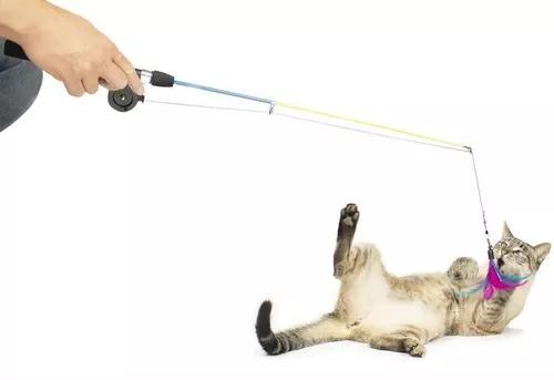 Brinquedo Varinha De Pesca Gatinho Com Isca Para Gatos Cat