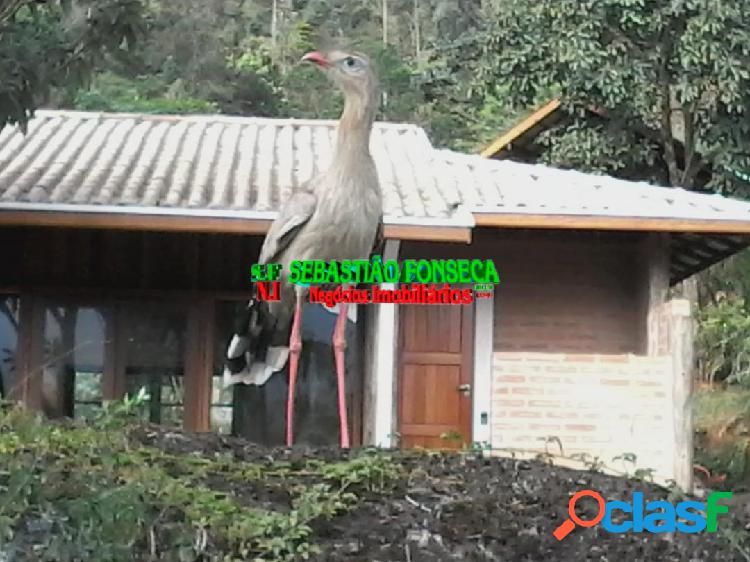 Casa para Alugar em São Francisco Xavier