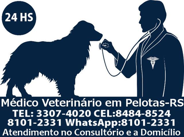 Médico Veterinário 24hs em Pelotas- RS