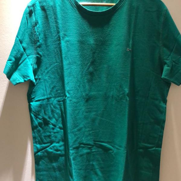 camiseta masculina verde lisa aramis (g)