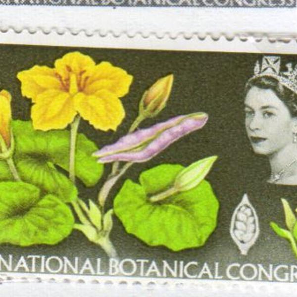 2 selos postais antigos grã-bretanha 1964