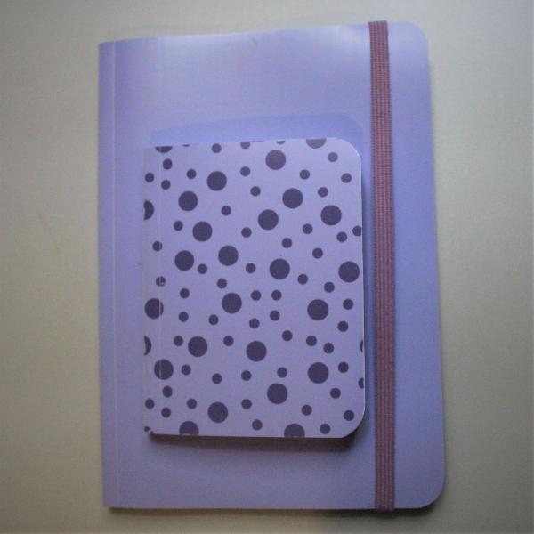 Cadernetas roxas