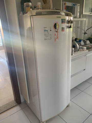 Geladeira / Refrigerador fros free