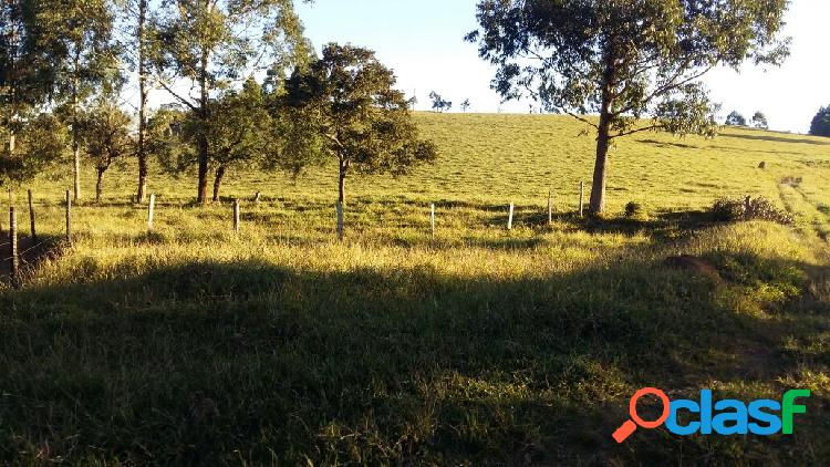 ÓTIMA FAZENDA EM CARANDAÍ, PRONTA PARA PECUÁRIA - FORMADA