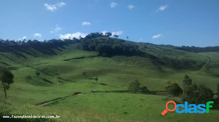 Área Rural para Venda em Itaverava / MG no bairro Zona