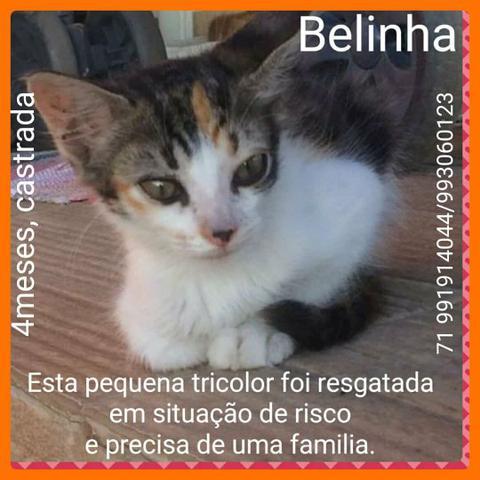 Adote Belinha