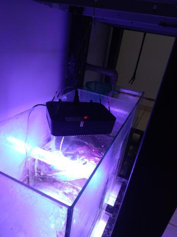 Aquario 375 litros + sump + estrutura